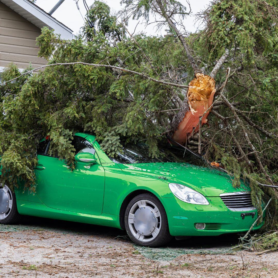 Auto Comprehensive Coverage