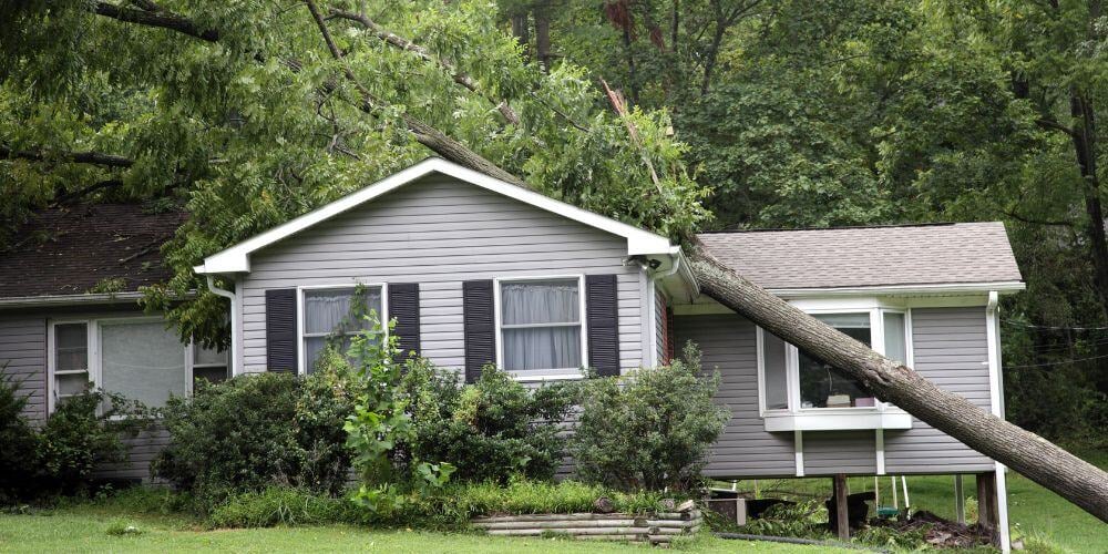 Does Home Insurance Cover Tree Damage
